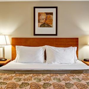Queen Room Sofa Bed